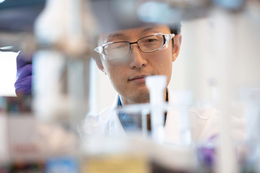 A Merck researcher at a laboratory bench, from merck.com
